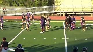 Enterprise vs Shasta 12U Preseason Scrimmage 8124 [upl. by Dulla]