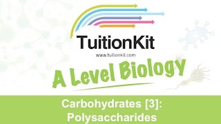 Carbohydrates 3 Polysaccharides High band Biology [upl. by Gesner]