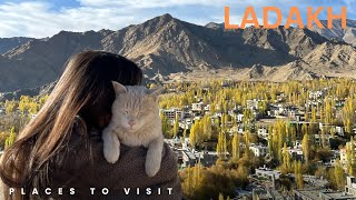 Five most beautiful religious places to visit in Ladakh🤩🤩😍😍 [upl. by Tihw675]