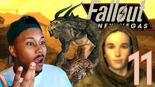 NEW VAULTS NEW ENEMIES AND NEW COMPANIONS  Fallout New Vegas  Part 11 [upl. by Aisined]