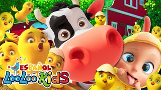 🐤🐥Los Pollitos Dicen PioPio  Canciones Infantiles para niños  LooLoo kids español [upl. by Culver]