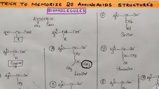 Trick to draw amp memorize 20 Amino acid structures from Biomolecules class 12 chemistry by Komali mam [upl. by Sillig]