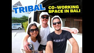 Discover TRIBAL The Ultimate Coworking Haven in Bali [upl. by Adyela887]