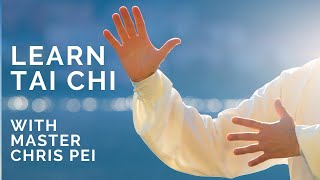 Tai Chi for Beginners  Best Instructional Video for Learning Tai Chi [upl. by Eldon]