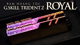 LIMITED KIT RAM đẳng cấp hoàng tộc  GSkill Trident Z Royal RGB [upl. by Hertzfeld]