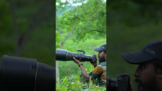 Indian Peafowl Birds  Wildlife Photography । Nature Photography  birds photoghraphy [upl. by Edya332]