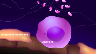 Introduction to Cancer Biology Part 3 Tissue Invasion and Metastasis [upl. by Lantha]