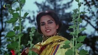 Kitne Bhi Tu Karle Sitam4K HDR High Quality 80s Evergreen Video Song [upl. by Notgnilliw]