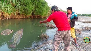 MIRA ASÍ SE PESCAN A LAS TILAPIAS CON ANZUELO  Pesca de Tilapias en Río [upl. by Kam]