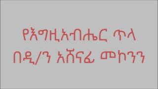 የእግዚአብሔር ጥላ ዲን አሸናፊ መኮንን Ye Egziabher Tila Deacon Ashenafi Mekonnen [upl. by Zadack360]