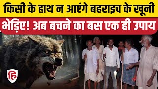 Bahraich Bhediya News आदमखोर भेड़िए पकड़ से बाहर अब जागरूकता पर जोर। Bahraich Wolf Attack [upl. by Lubbock96]