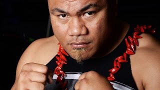 DAVID TUA  HighlightsKnockouts [upl. by Ayra]