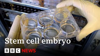 Scientists grow whole model of human embryo without sperm or egg  BBC News [upl. by Susanetta771]