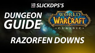 HARDCORE  RAZORFEN DOWNS DUNGEON GUIDE  WOW CLASSIC [upl. by Eeruhs]