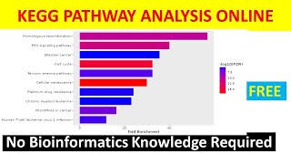 KEGG Pathway Analysis Tutorial for Beginners  Learn Analyze amp Interpret with Real Examples [upl. by Annaeerb72]