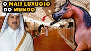 O INCRÍVEL MAIOR E MAIS LUXUOSO HARAS DO MUNDO [upl. by Reggie]