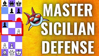 How to Play the Sicilian Defence 10Minute Chess Openings for Beginners Learn All Variations [upl. by Apoor]