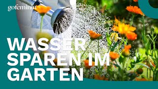 Garten Mit diesen Tipps lässt sich Wasser sparen [upl. by Nuahsal]