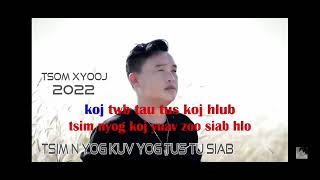 tsim nyog kuv yog tus tu siab tsom xyooj karaoke 2023 [upl. by Ahsilak96]