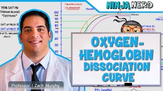 Respiratory  OxygenHemoglobin Dissociation Curve [upl. by Hesler]