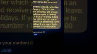 Job Scam Text  Customer Service Representative at LOYALTYLION [upl. by Atteniuq892]