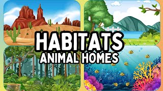 🦒🐙🐍HABITATS Explained For KIDS  Forest🌳Desert🏜️Ocean🌊 ANIMALS amp their HOMES animlals FULL AUDIO [upl. by Nylak610]