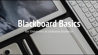 Blackboard Basics for Students [upl. by Cheffetz505]