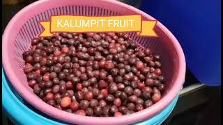 HOW TO COOK MINATAMIS NA KALUMPIT FAMOUS FRUIT IN BATANGAS PANLASANG PINOY [upl. by Brookes]