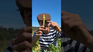 COMMENT POLLINISER SES COURGETTES  🍆 jardinage potager permaculture [upl. by Weinshienk]