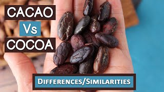 Cacao Vs Cocoa Top 6 Differences and Similarities [upl. by Pulling]