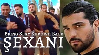 The Viral Kurdish Wedding Dance version Must watch [upl. by Ecinue]