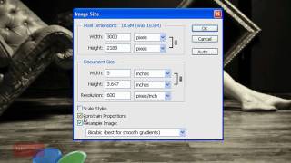 Howto Resize an Image For Printing  Adobe Photoshop Beginner Tutorial 60 Seconds [upl. by Harlamert]
