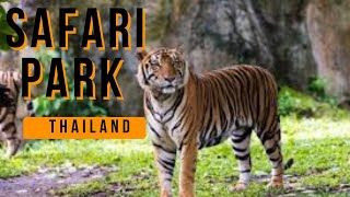 SAFARI PARK THAILAND sebusebimonica safaripark thailand bangkok [upl. by Nasia]