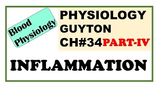 Ch34 PART4 Physiology Guyton  Events in Inflammation  Role of Neutrophils amp Macrophages [upl. by Ardnassak]