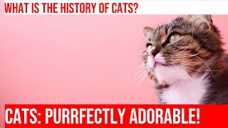 Exploring the Fascinating History of Domesticated Cats [upl. by Robb]