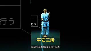 kata heian sandan 平安三段 shortvideo kata karate [upl. by Temme290]