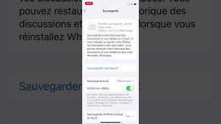 Sauvegarder les discussions WhatsApp sur iPhone avec ou sans iCloud [upl. by Loseff]