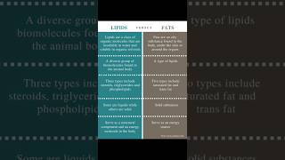 Differences between Lipids amp Fats 📓 fats lipids biology [upl. by Sutniuq969]