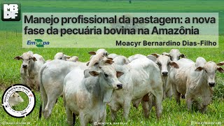 Manejo profissional da pastagem [upl. by Aivartal]