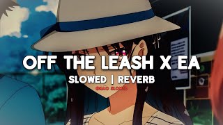 Off The Leash X EA slowed amp reverb  TikTok Version [upl. by Annaeerb]