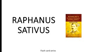 Raphanus Sativus [upl. by Upshaw]