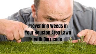 Preventing Weeds with Nitro Phos Barricade Pre Emergent An Overview by Houston Grass [upl. by Yngad322]