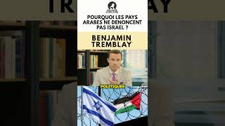 Pourquoi les pays arabes ne dénoncent pas Israël  afrique shorts israel palestine usa conflit [upl. by Ezzo]