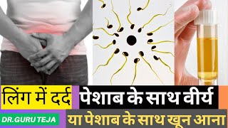 Dysuriaपेशाब के साथ वीर्य निकालना पेनिस में जलन या दर्द urine blood uti problem DrGuru Teja [upl. by Syst]