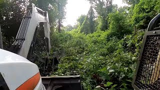 Cleaning up Kudzu [upl. by Naoj]