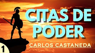 Citas de LAS ENSEÑANZAS DE DON JUAN  C Castaneda  Español latino voz humana [upl. by Trebmal]