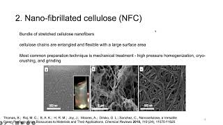 What Is Nanocellulose [upl. by Yrallam]