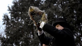 Une marmotte qui fait la pluie et le beau temps [upl. by Oimetra]