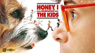 Honey I Shrunk the Kids 1989 Movie Rick Moranis amp Marcia Strassman Full Movie Review amp Analysis [upl. by Valry686]