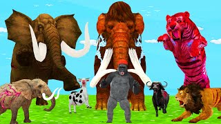 20 Woolly Mammoth Elephant Cow vs 10 Zombie Lion Tiger Attack Gorrilla Saved By Woolly Mammoth [upl. by Nazay]